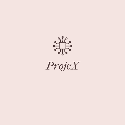 Дашборд системы управления проектами ProjeX, разработанной Богданом Новотарским